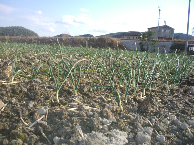 CIMG0130.JPG 640×480 353K