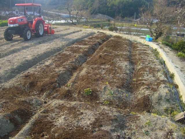 CIMG0277.JPG 640×480 362K