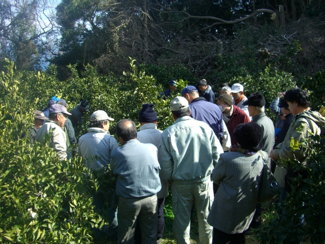 CIMG0373.JPG 640×480 351K