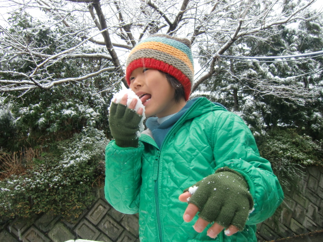 grp0408161622.JPG 640×480 382K