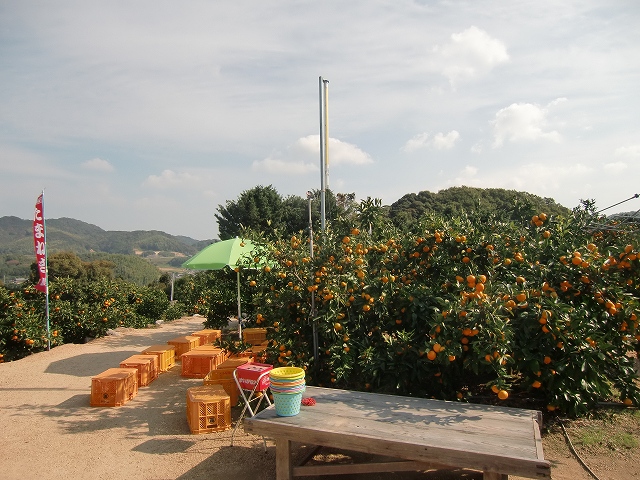 CIMG2789.jpg 640×480 185K