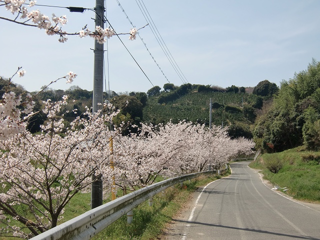 CIMG3007.jpg 640×480 189K
