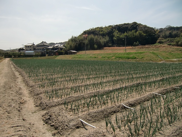 CIMG3017.jpg 640×480 181K