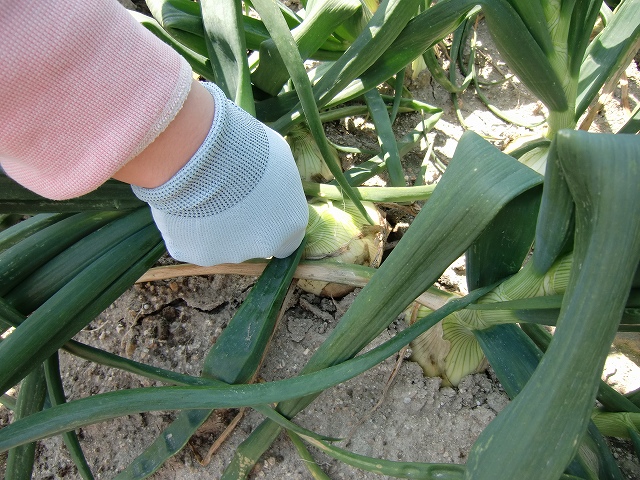 CIMG3026.jpg 640×480 192K